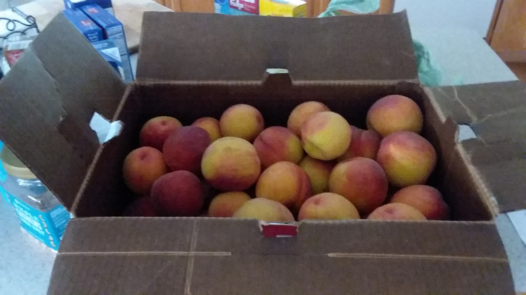 The Giant Case of&nbsp;Peaches