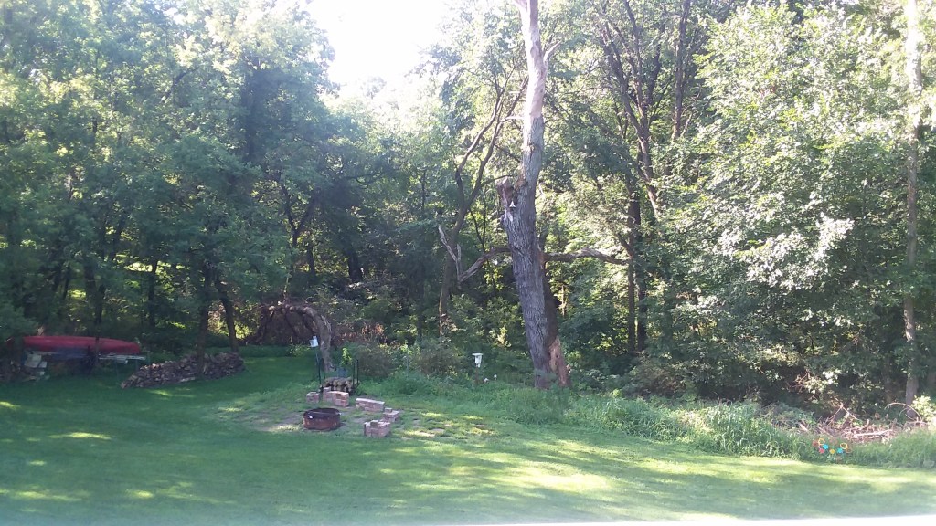 What’s It All&nbsp;About?