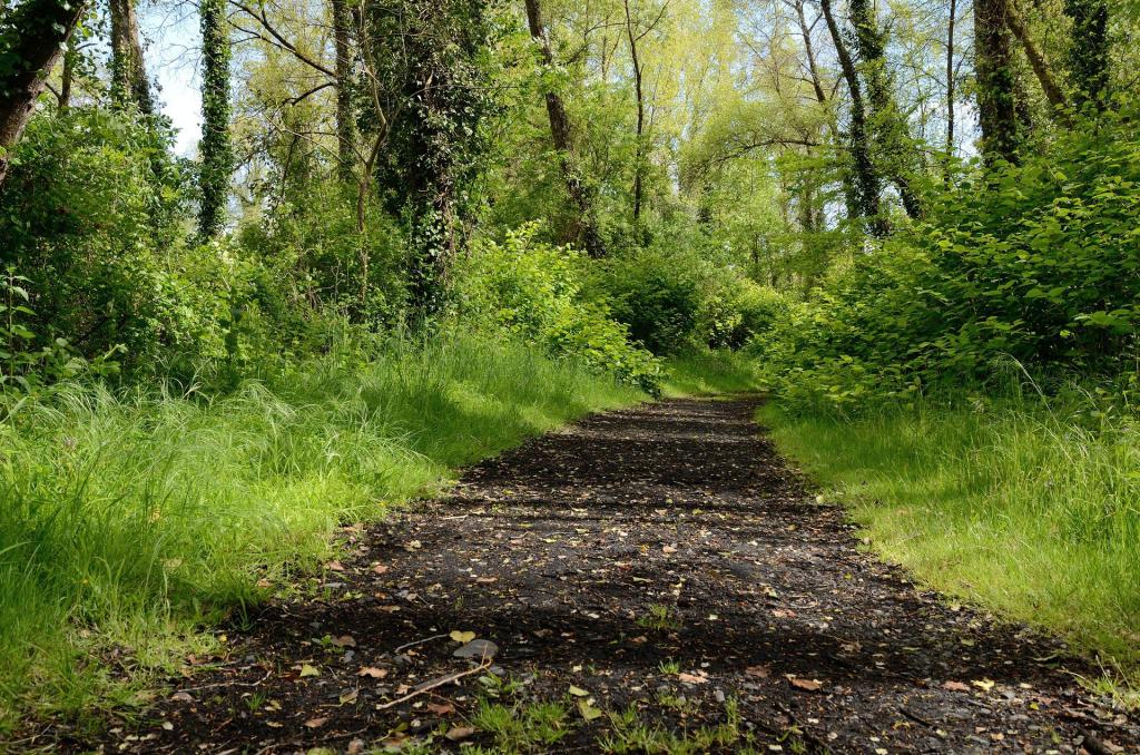 Introverting When Surrounded by&nbsp;People